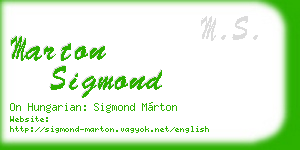 marton sigmond business card